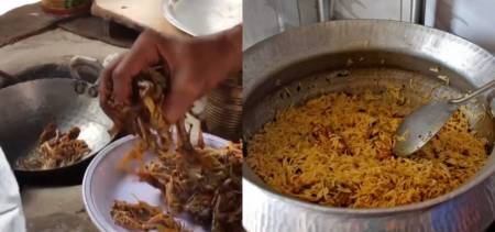 Locust Pakistan