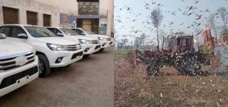 Sindh Govt revo locust