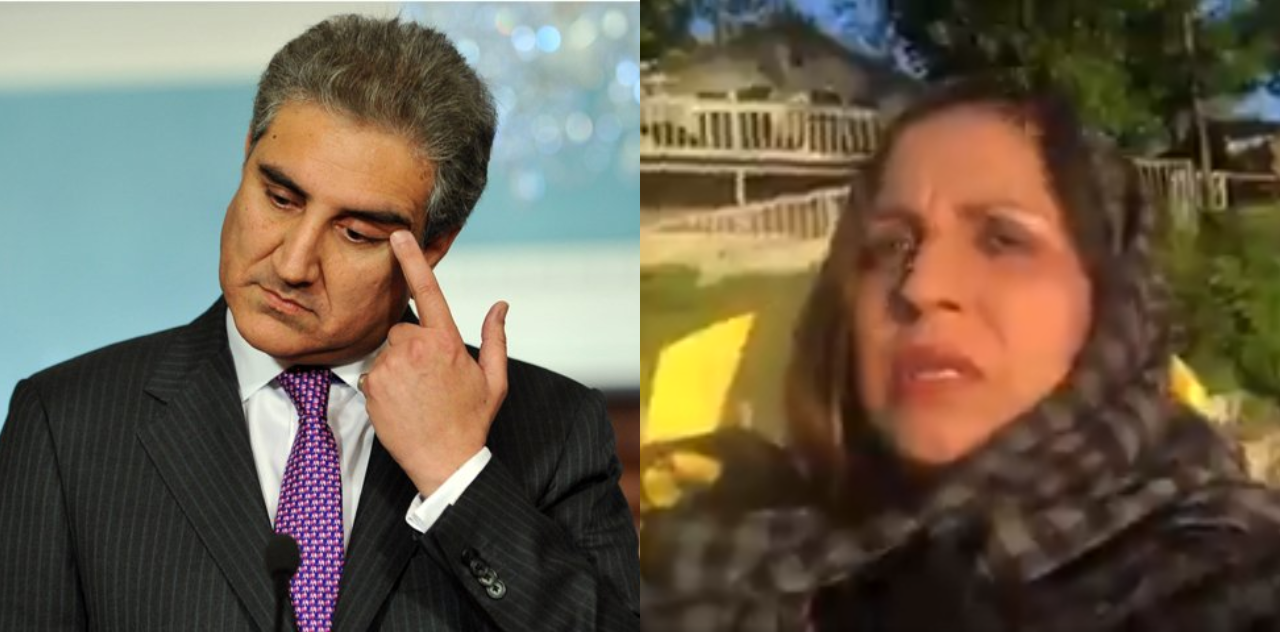 'Ap Meh Aqal Kam Hai' Pakistani Ex-pat Bashes Shah Mehmood Qureshi