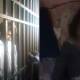 stepfather 12 year old girl karachi