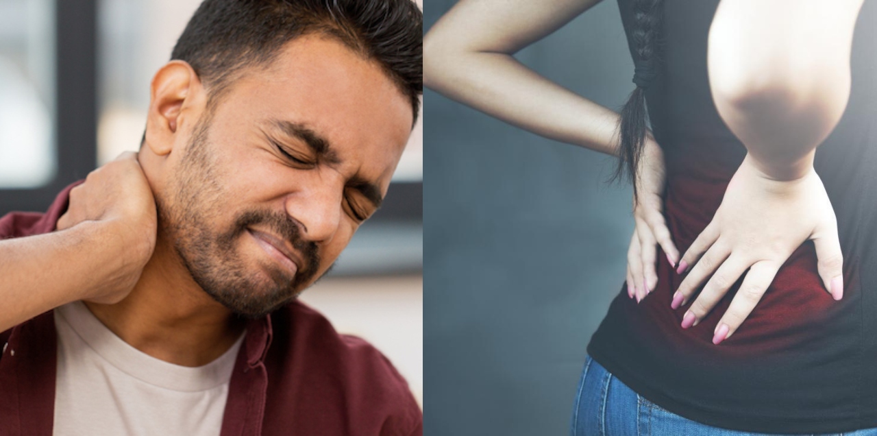 Exercises back pain