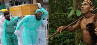 coronavirus bodies to brazil