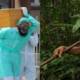 coronavirus bodies to brazil