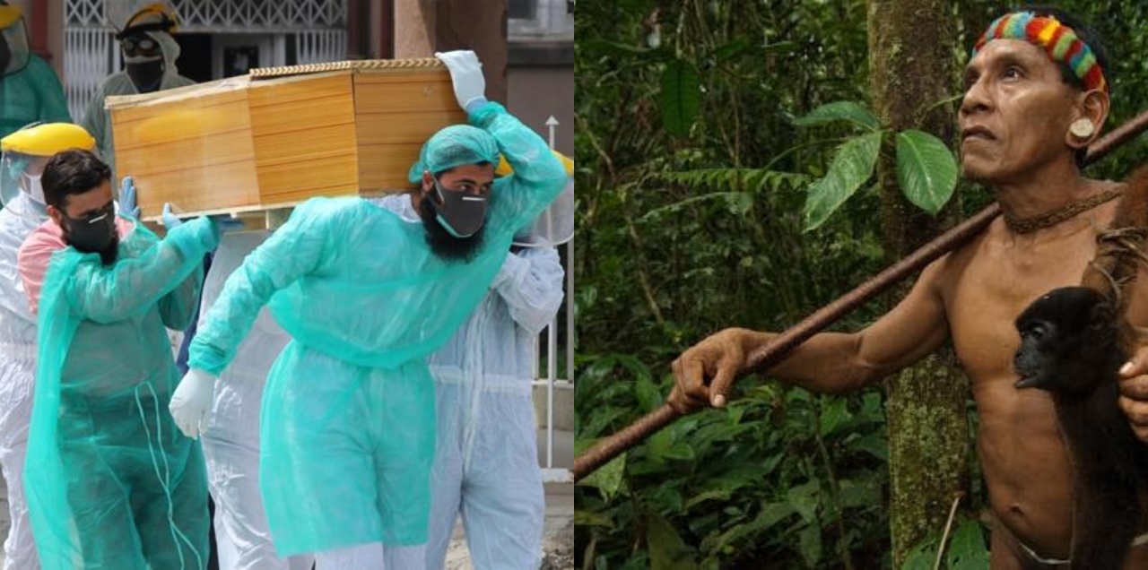 coronavirus bodies to brazil