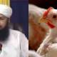 broiler chicken in islam