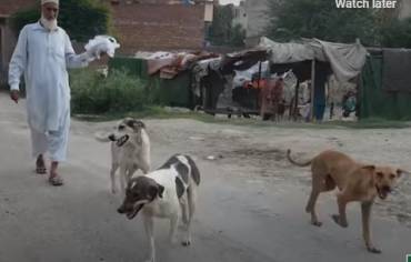 Pakistani Man Feeding Animals 40 years
