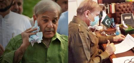 PMLN shehbaz sharif covid 19