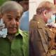 PMLN shehbaz sharif covid 19