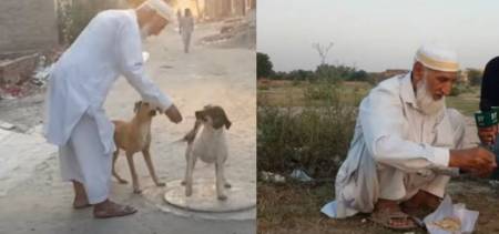 Pakistani Feeds Animals