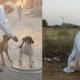 Pakistani Feeds Animals