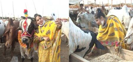Pakistan girl bold