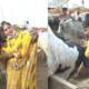 Pakistan girl bold