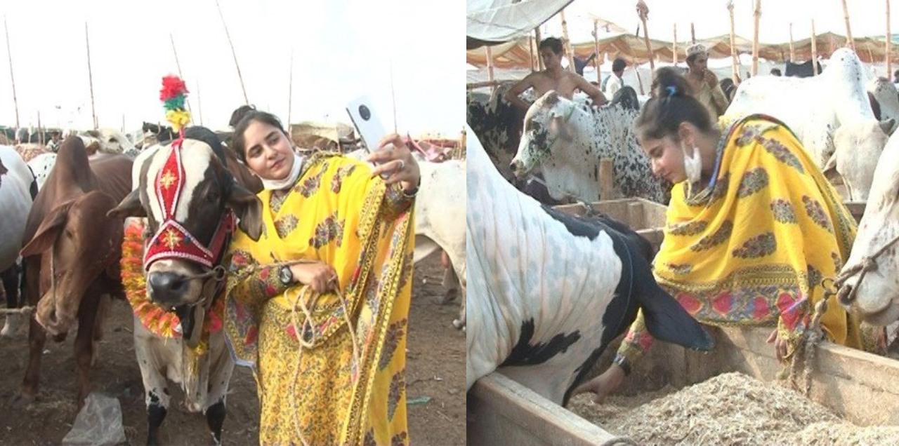 Pakistan girl bold