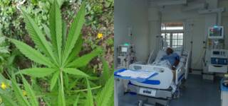 cooked cannabis