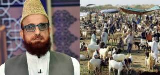 Mufti Muneeb