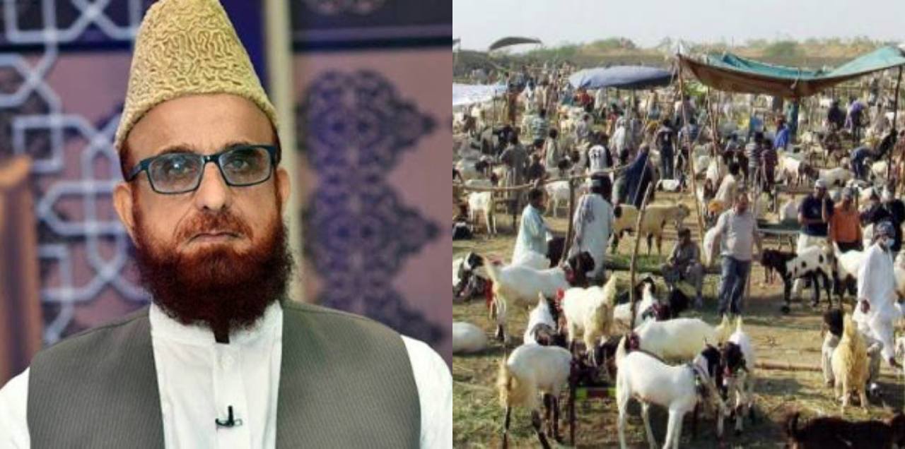 Mufti Muneeb