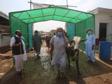 bakra eid COVID-19 Pakistan