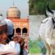 eid ul azha pakistan