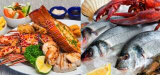 Seafood Halaal Haram