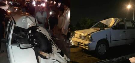 cow car accident