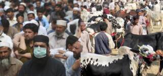 coronavirus pakistan