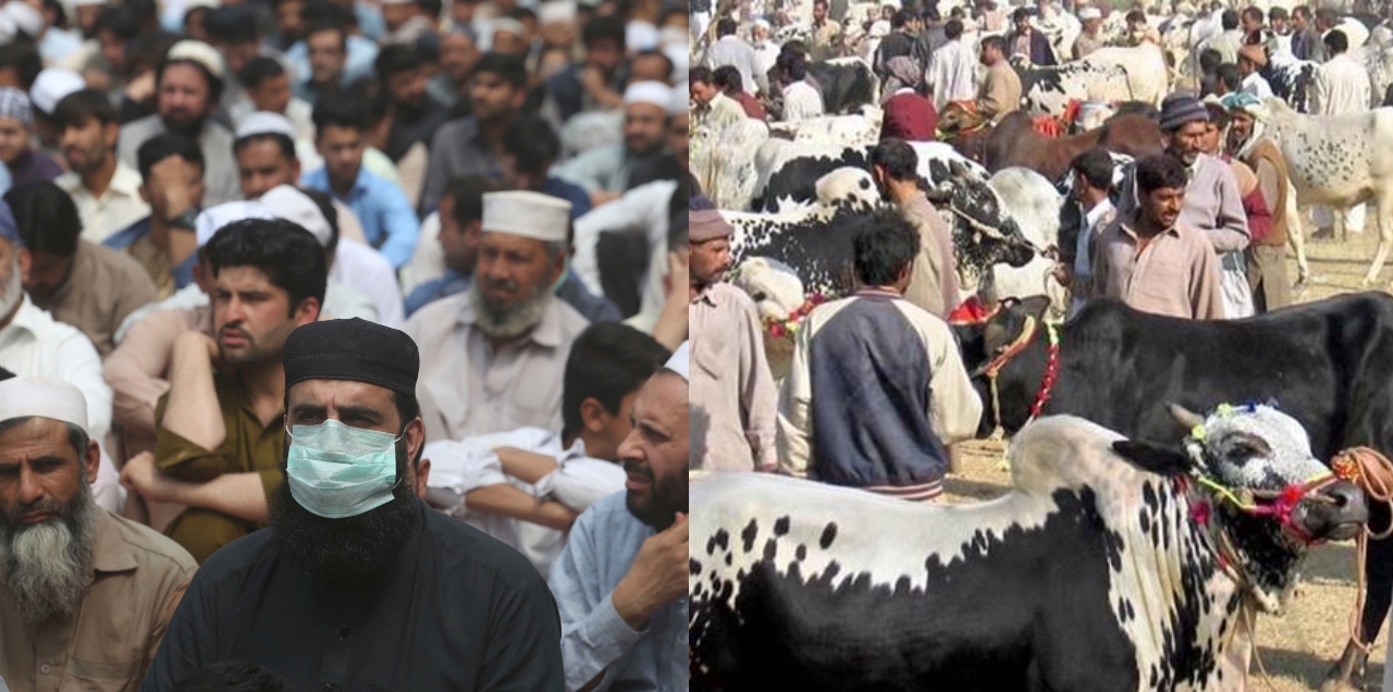 coronavirus pakistan