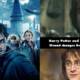 harry potter blunders