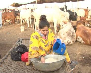 Pakistan girl bold