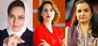 journalists harassment government officials