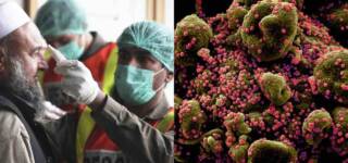 pakistanis developed immunity coronavirus
