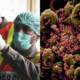 pakistanis developed immunity coronavirus
