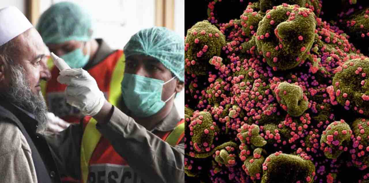 pakistanis developed immunity coronavirus