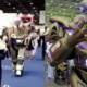 robot bodyguard bahrain