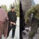 Pakistani Hulk Fraud
