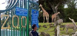 zoo animals islamabad missing