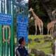 zoo animals islamabad missing