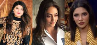 A Blogger Calls Out the Hypocrisy Of Pakistani Celebs Disapproving Esra Bilgic Working In Pakistan