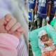 newborn survives thrown off