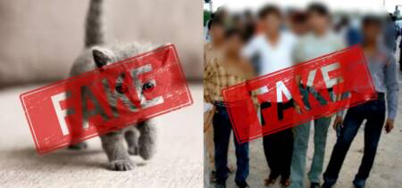 kitten abuse story fake