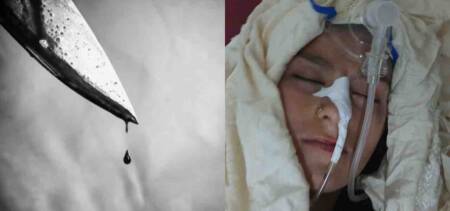 husband stabs wife mother house