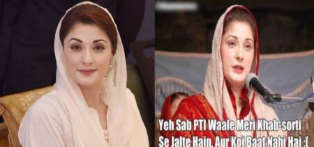 maryam nawaz troll hairan ho gai