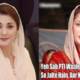 maryam nawaz troll hairan ho gai