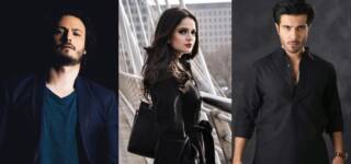 Pakistani celebs motorway gang rape
