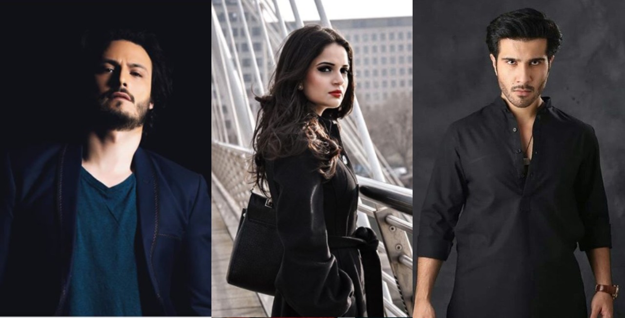 Pakistani celebs motorway gang rape