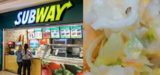 Pakistani Girl Finds A Dead Cockroach In Sandwich She Ordered From Subway