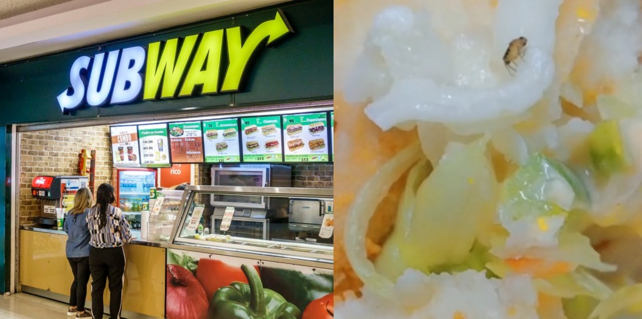Pakistani Girl Finds A Dead Cockroach In Sandwich She Ordered From Subway