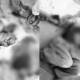 Residents Muzaffargarh Chop Hands robbers