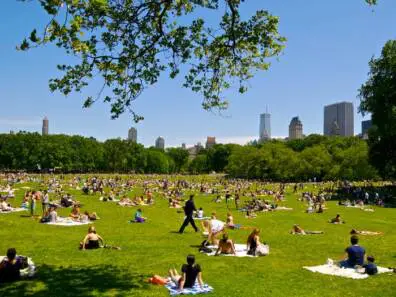 Central Park crowded place
