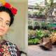 kangana ranaut house bmc