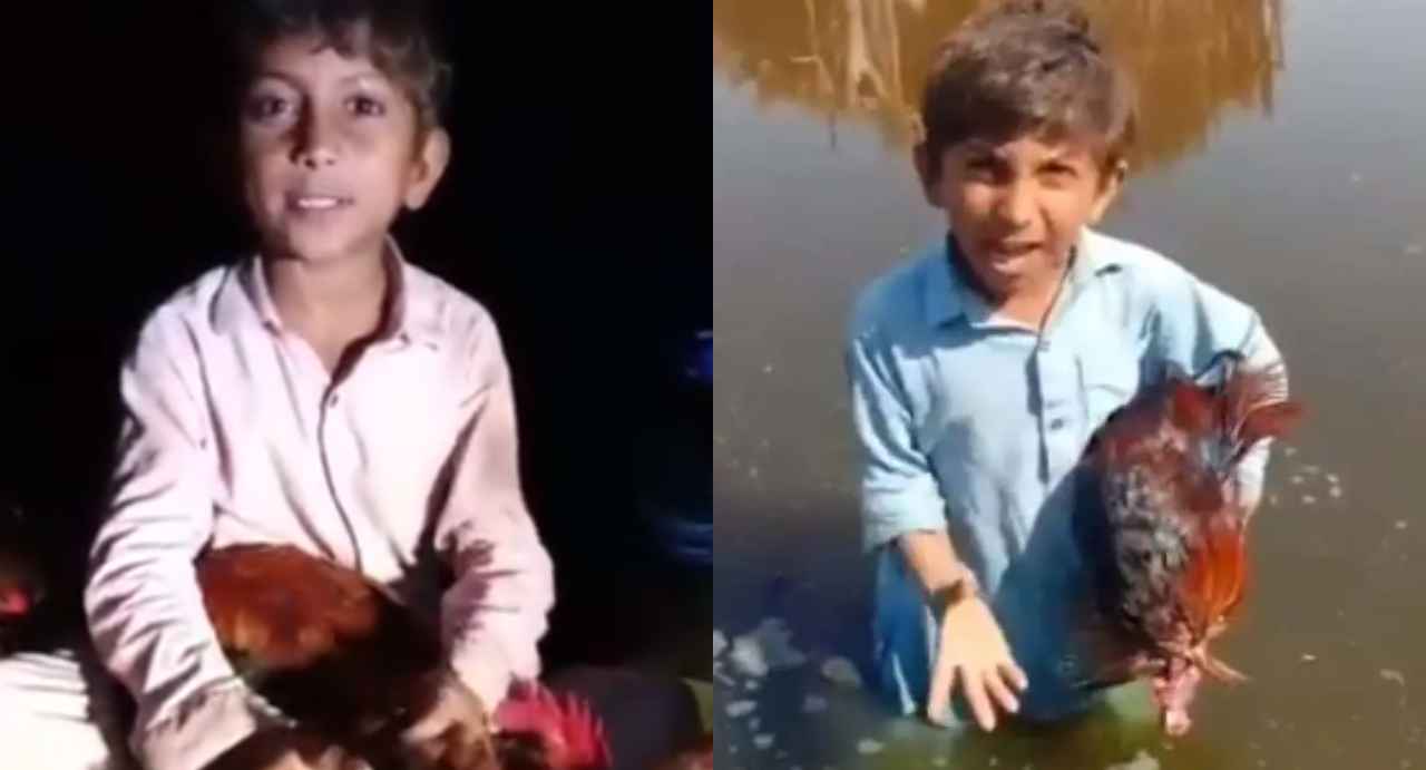 Mera Kukkar kid iqrar-ul-hassan